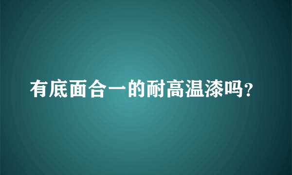 有底面合一的耐高温漆吗？