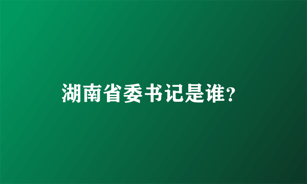 湖南省委书记是谁？