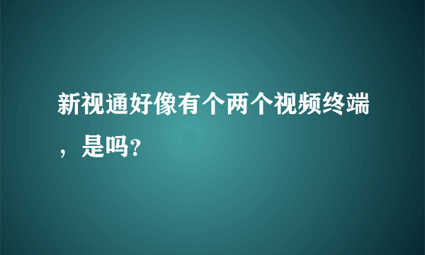 新视通好像有个两个视频终端，是吗？