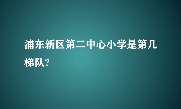 浦东新区第二中心小学是第几梯队?