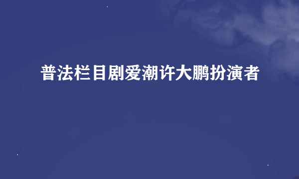 普法栏目剧爱潮许大鹏扮演者