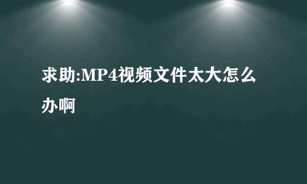 求助:MP4视频文件太大怎么办啊