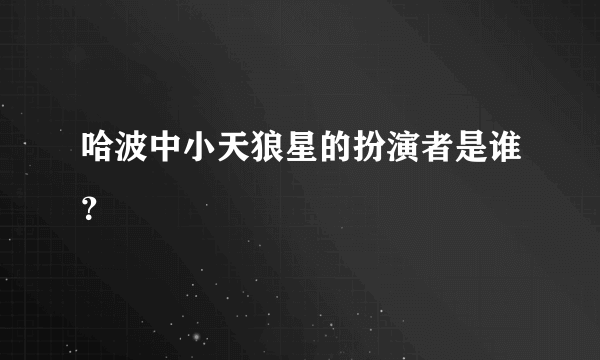 哈波中小天狼星的扮演者是谁？