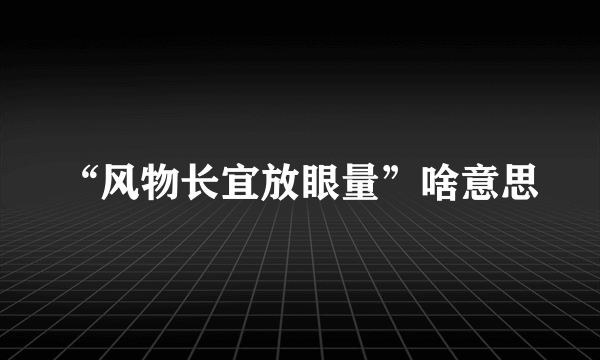 “风物长宜放眼量”啥意思