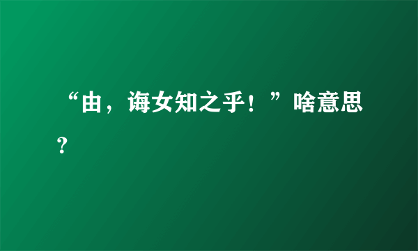 “由，诲女知之乎！”啥意思？