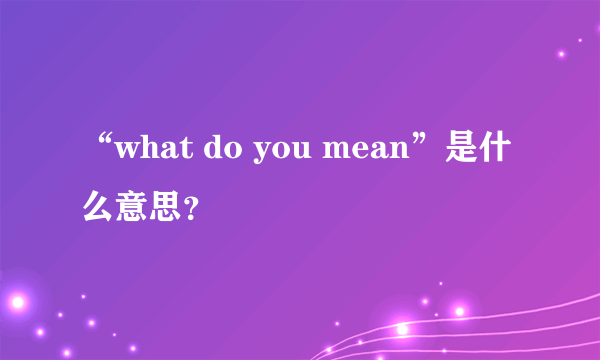 “what do you mean”是什么意思？