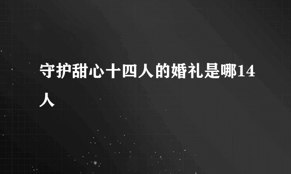 守护甜心十四人的婚礼是哪14人