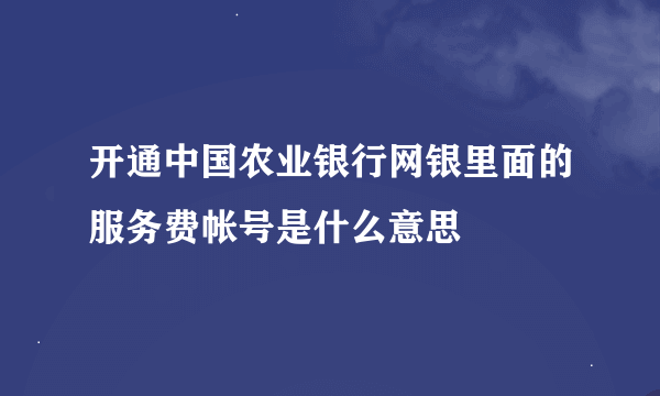 开通中国农业银行网银里面的服务费帐号是什么意思