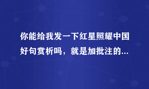 你能给我发一下红星照耀中国好句赏析吗，就是加批注的那种，发多一些，我们要做读书笔记，万分感谢