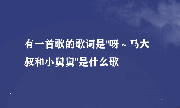 有一首歌的歌词是