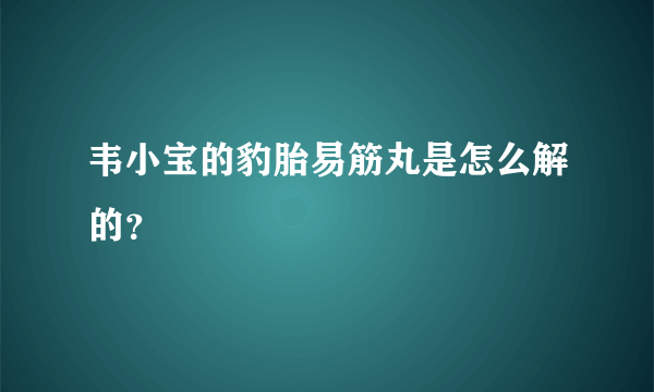 韦小宝的豹胎易筋丸是怎么解的？