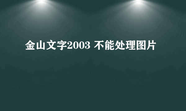 金山文字2003 不能处理图片