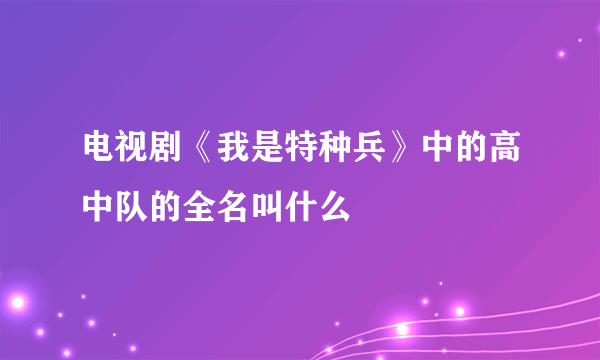 电视剧《我是特种兵》中的高中队的全名叫什么