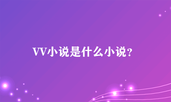 VV小说是什么小说？