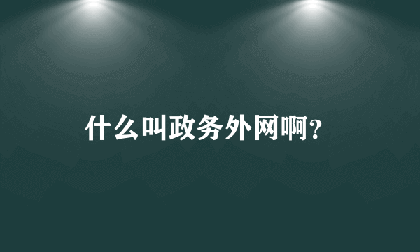 什么叫政务外网啊？