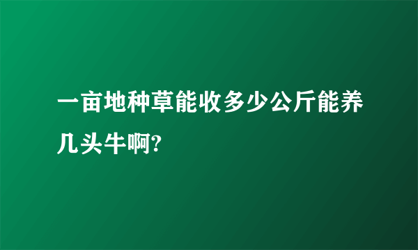 一亩地种草能收多少公斤能养几头牛啊?