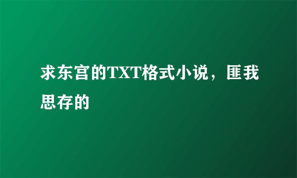 求东宫的TXT格式小说，匪我思存的