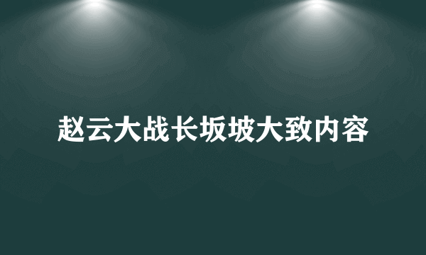 赵云大战长坂坡大致内容