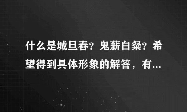 什么是城旦舂？鬼薪白粲？希望得到具体形象的解答，有案例更好！非常感谢