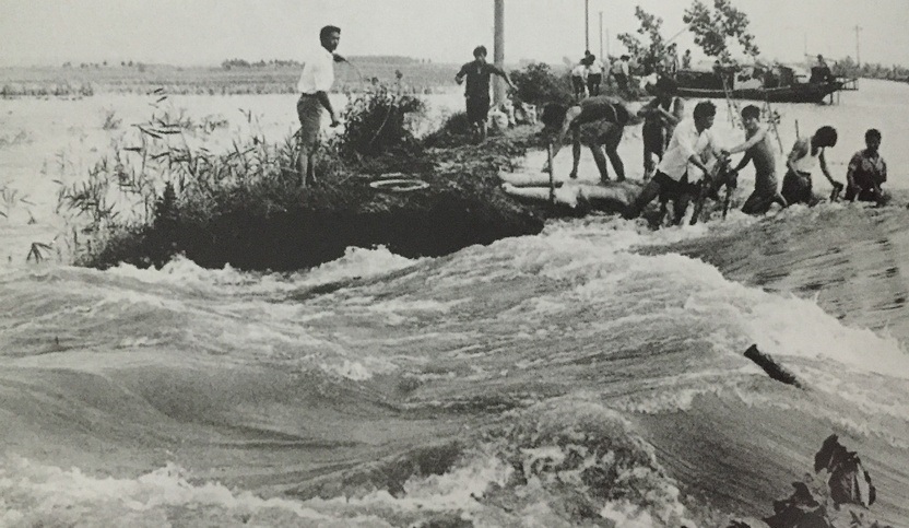 1963年有什么重大事件发生?