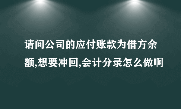 请问公司的应付账款为借方余额,想要冲回,会计分录怎么做啊