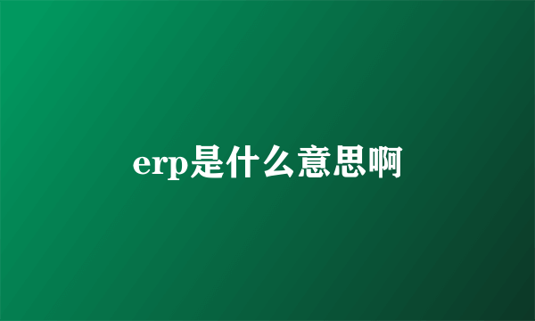 erp是什么意思啊