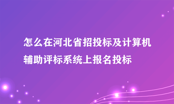 怎么在河北省招投标及计算机辅助评标系统上报名投标