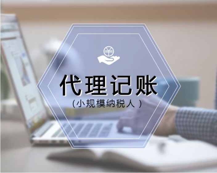 小规模纳税人怎么报税