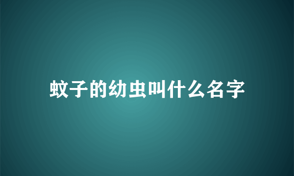 蚊子的幼虫叫什么名字