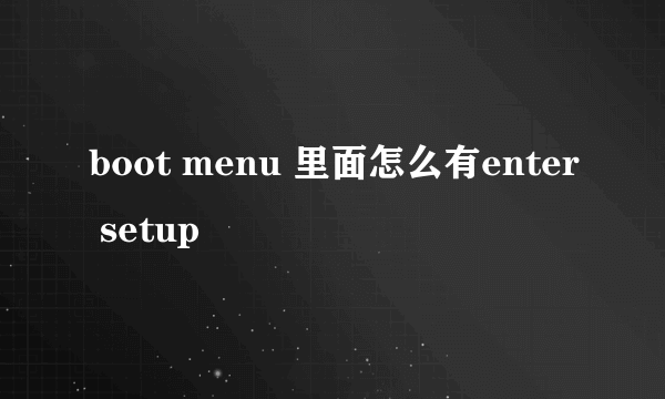 boot menu 里面怎么有enter setup