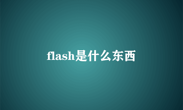 flash是什么东西