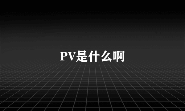 PV是什么啊