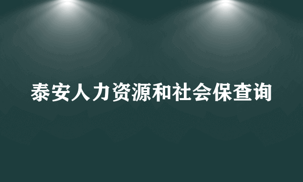 泰安人力资源和社会保查询