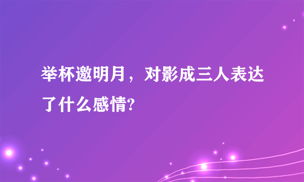 举杯邀明月，对影成三人表达了什么感情?