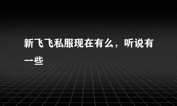 新飞飞私服现在有么，听说有一些