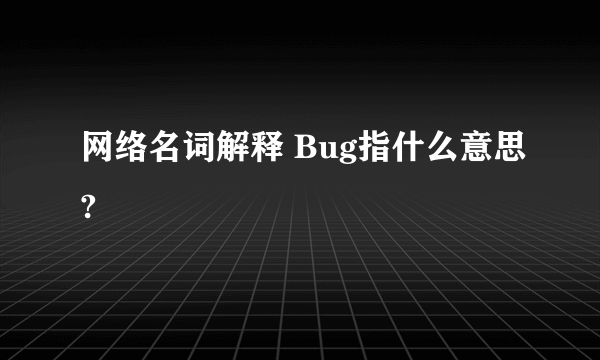 网络名词解释 Bug指什么意思?