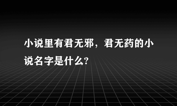 小说里有君无邪，君无药的小说名字是什么?