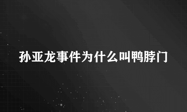 孙亚龙事件为什么叫鸭脖门