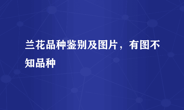 兰花品种鉴别及图片，有图不知品种