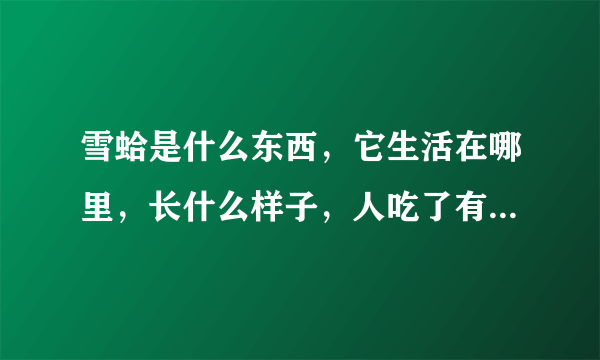 雪蛤是什么东西，它生活在哪里，长什么样子，人吃了有什么好处？