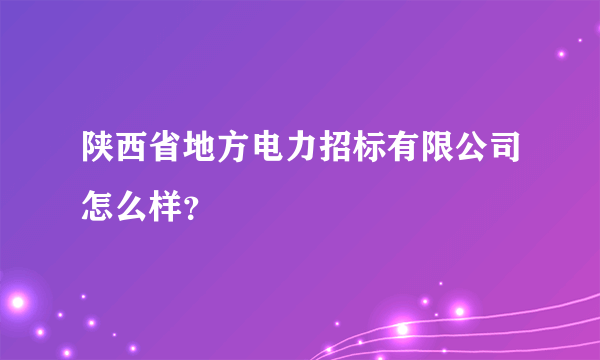 陕西省地方电力招标有限公司怎么样？