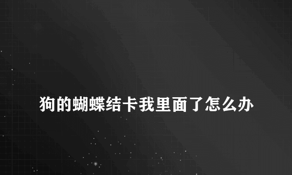 
狗的蝴蝶结卡我里面了怎么办

