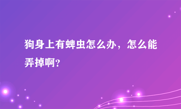 狗身上有蜱虫怎么办，怎么能弄掉啊？