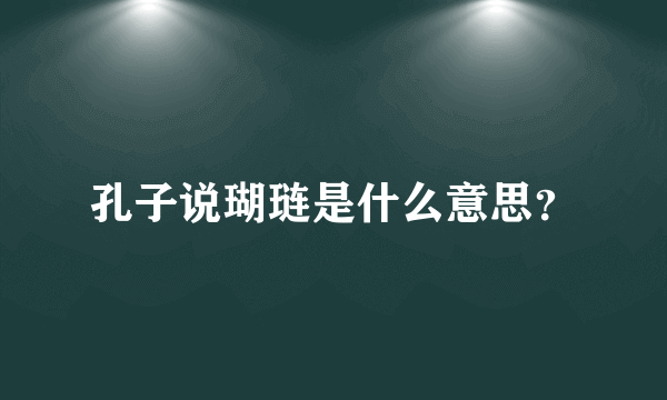 孔子说瑚琏是什么意思？