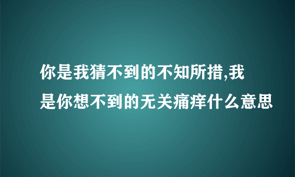 你是我猜不到的不知所措,我是你想不到的无关痛痒什么意思