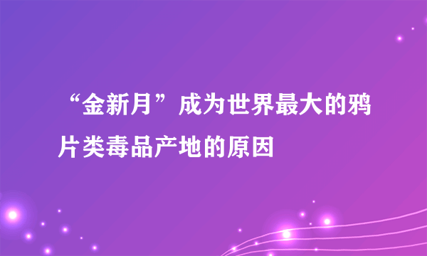 “金新月”成为世界最大的鸦片类毒品产地的原因