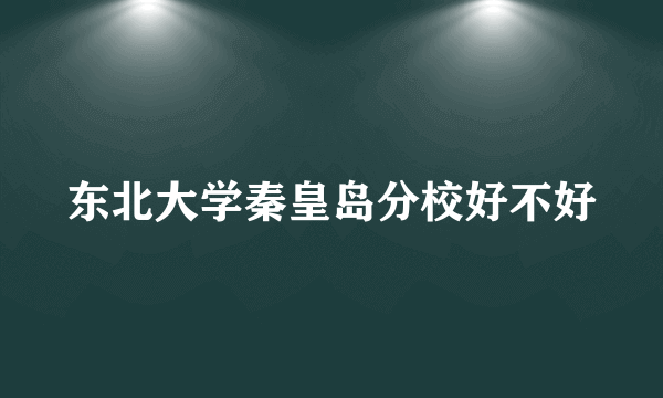 东北大学秦皇岛分校好不好