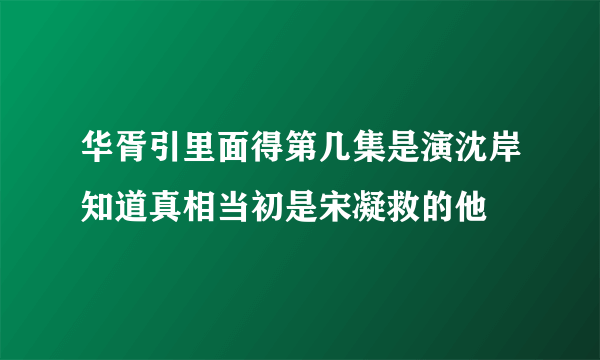 华胥引里面得第几集是演沈岸知道真相当初是宋凝救的他