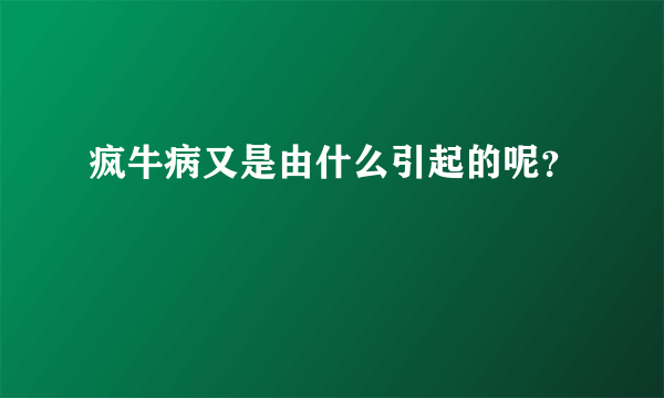 疯牛病又是由什么引起的呢？