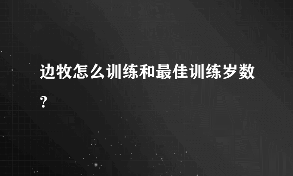 边牧怎么训练和最佳训练岁数？